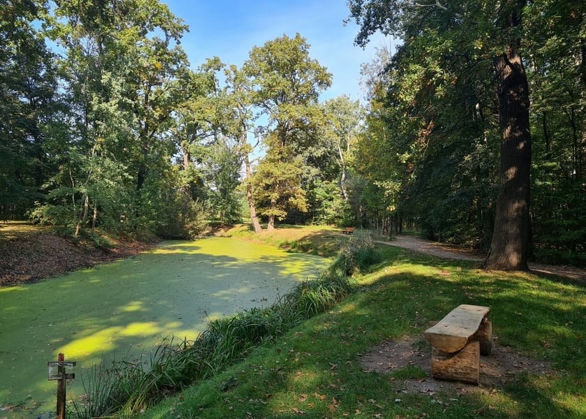 Park Świetlików we Wrocławiu