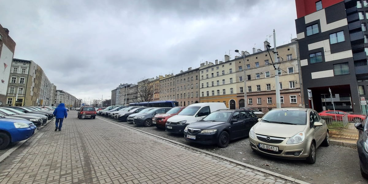 Nasadzenia drzew na parkingu przy ul. Pułaskiego w ramach projektu Wrocławskiego Budżetu Obywatelskiego nr 5 z 2022.