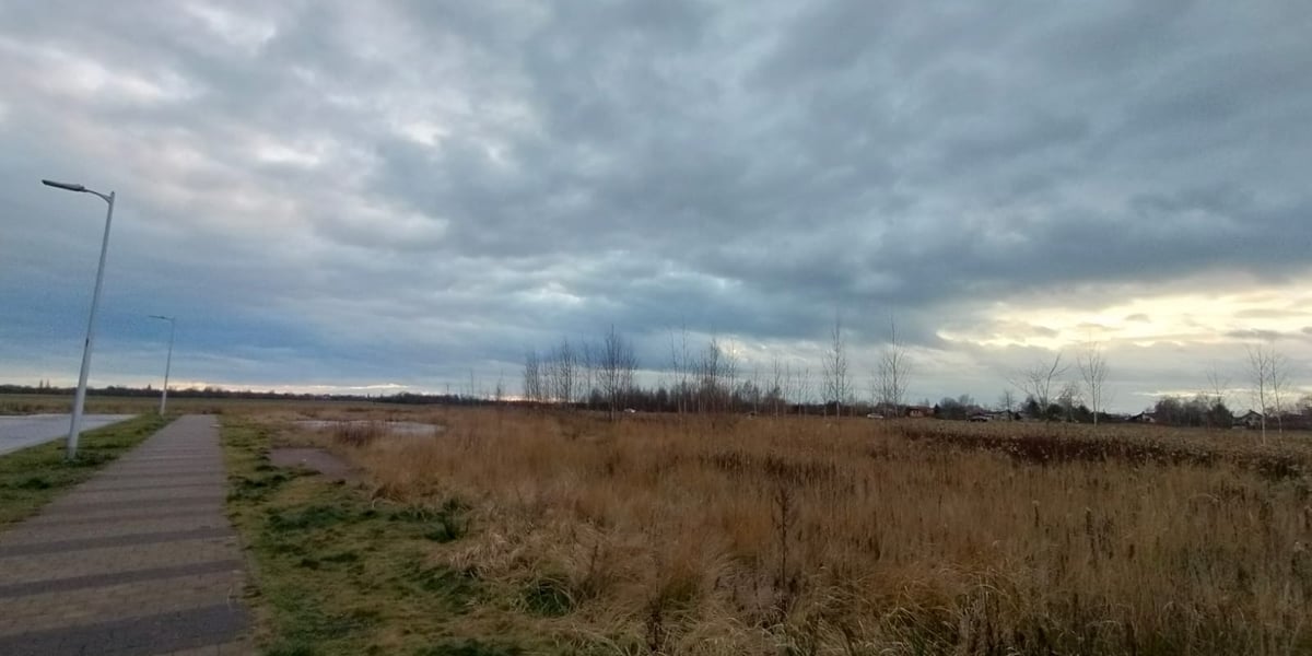 Motyli park przy ulicy Dębickiej oraz Park Scharouna - Motyli park przy ulicy Dębickiej.