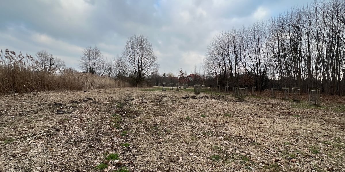 Zagospodarowanie Zielonego Klinu między ul. Żmigrodzką, a Pakosławską.