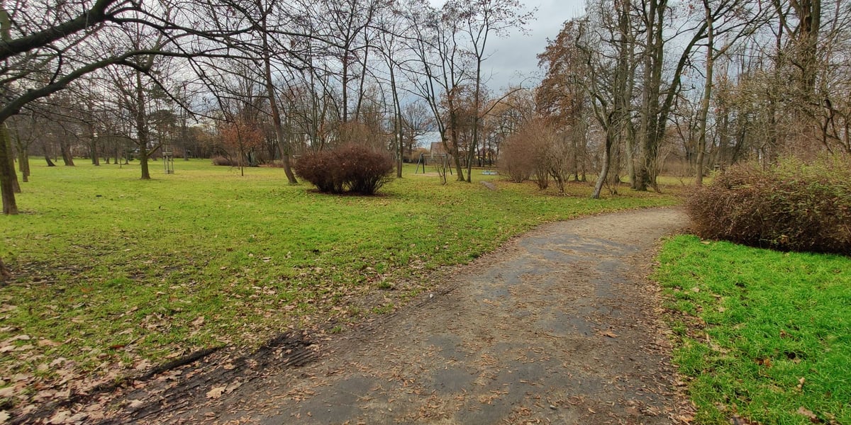 Wykonanie oświetlenia w parku Na Skraju.