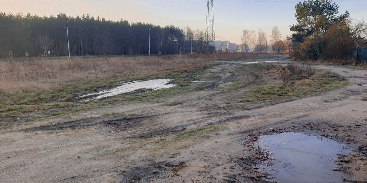 Stabłowicka Wyspa Rodos - kwiecisty skwer