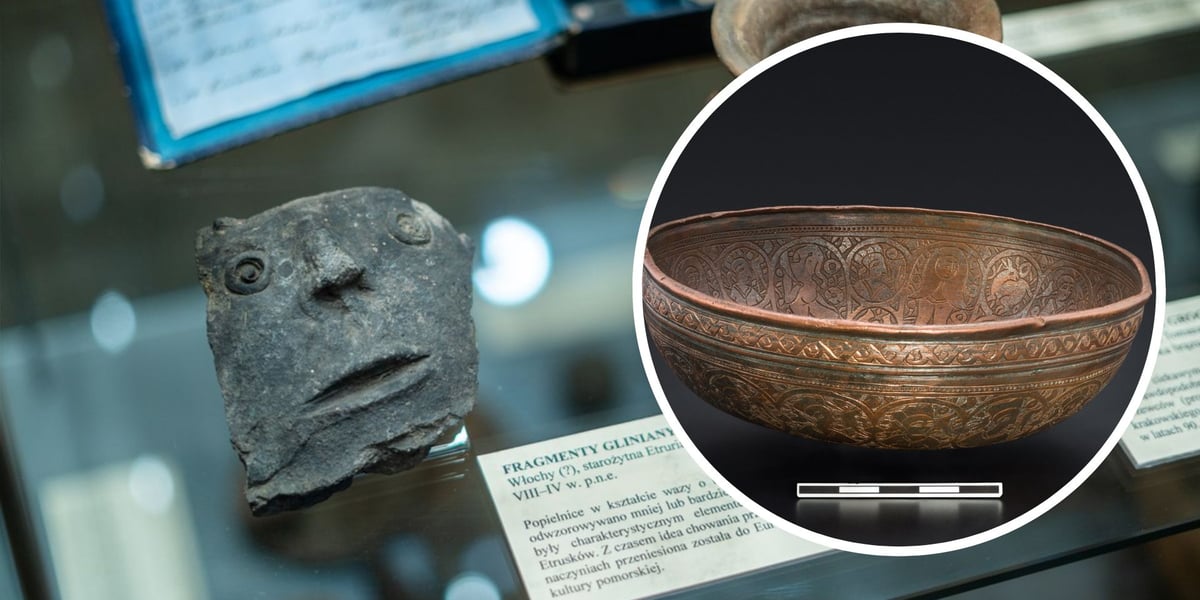 Eksponaty z wystawy Artificalia, naturalia, exotica w Muzeum Archeologicznym we Wrocławiu