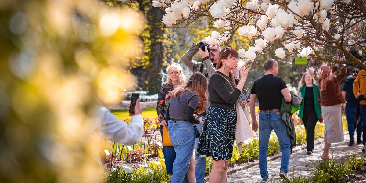 Ogród Botaniczny Uniwersytetu Wrocławskiego zainaugurował dziś nowy sezon.  