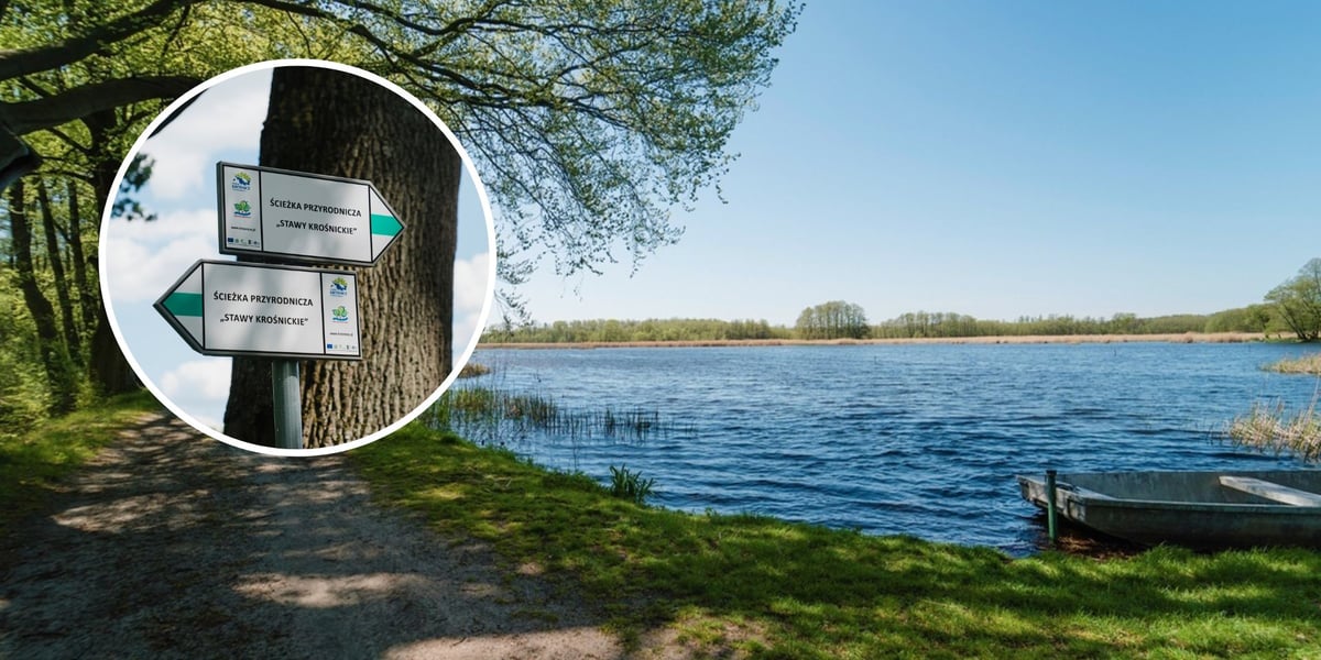 Ścieżka przyrodnicza Stawy Krośnickie. Na zdjęciu kierunkowskazy oraz leśna droga nad stawem