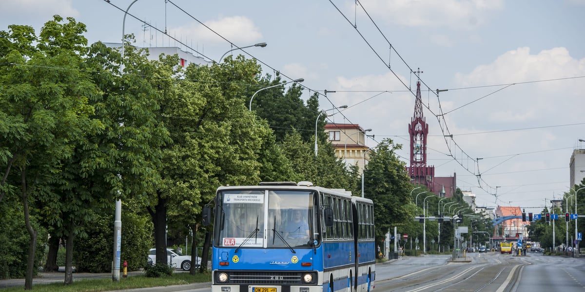 Zabytkowy autobus Ikarus