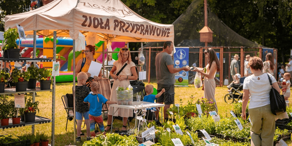 Targ Rolny na ul. Zwycięskiej we Wrocławiu, poprzednie edycje
