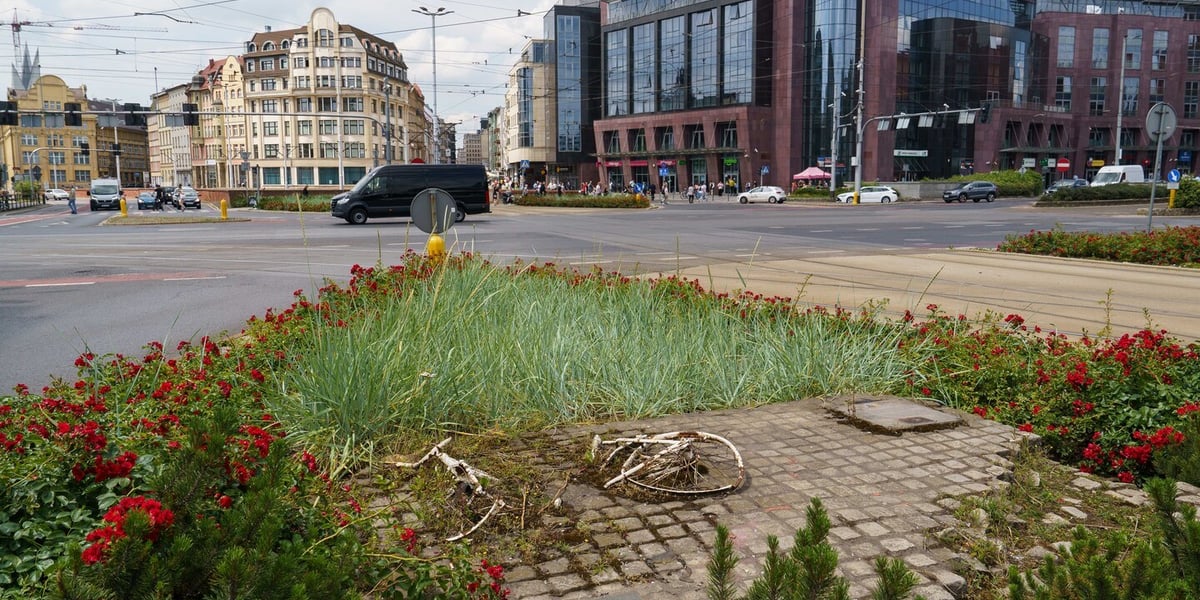 Pomnik ku czci ofiar 4 czerwca na placu Tian'anmen w Pekinie, widok z placu Dominikańskiego