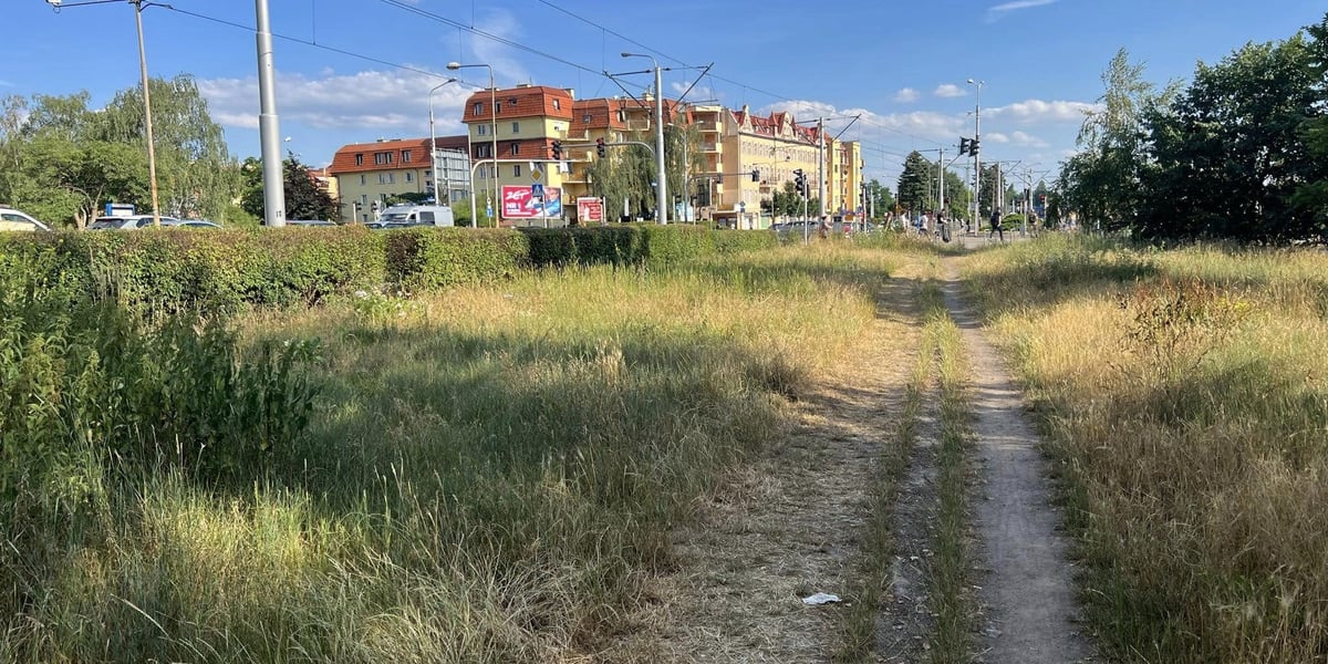 Ścieżka gruntowa przy ul. Żmigrodzkiej