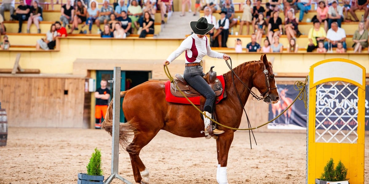 Zawody working equitation (zdjęcie ilustracyjne)