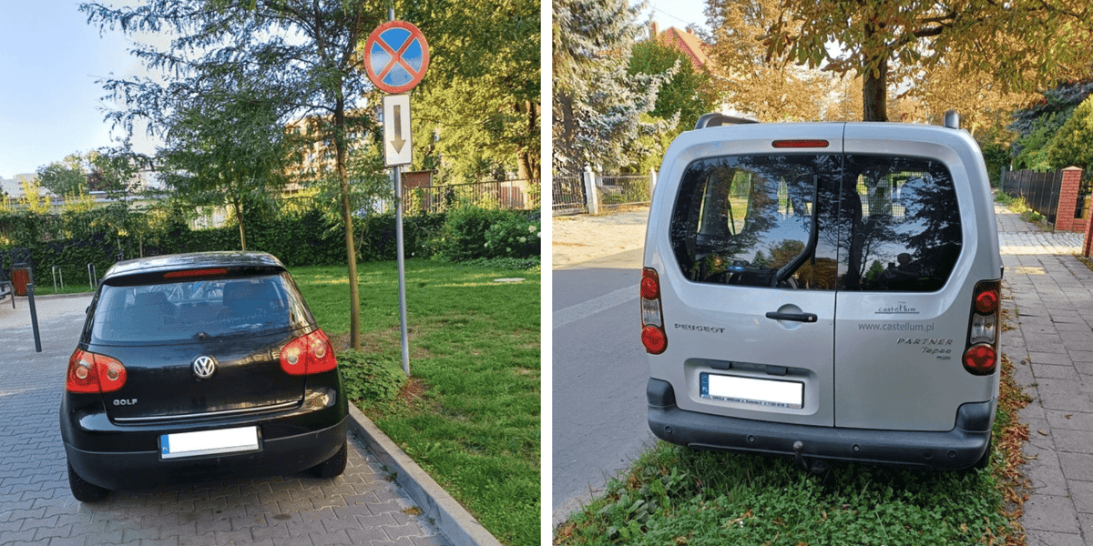 Przykłady nieprawidłowego parkowania: mimo zakazu zatrzymywania się oraz na pasie zieleni