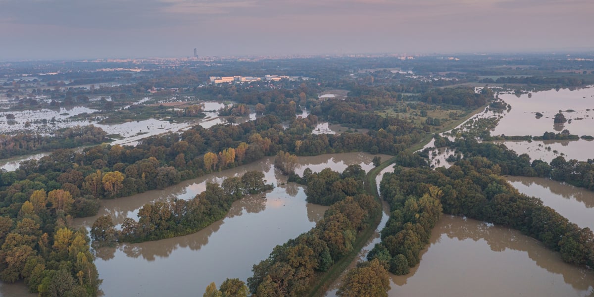 Polder Oławka