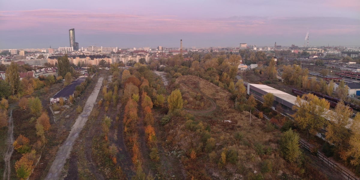 Park Henrykowski miałby powstać w rejonie ulic: Prudnickiej, Paczkowskiej, Henrykowskiej i Jesionowej.