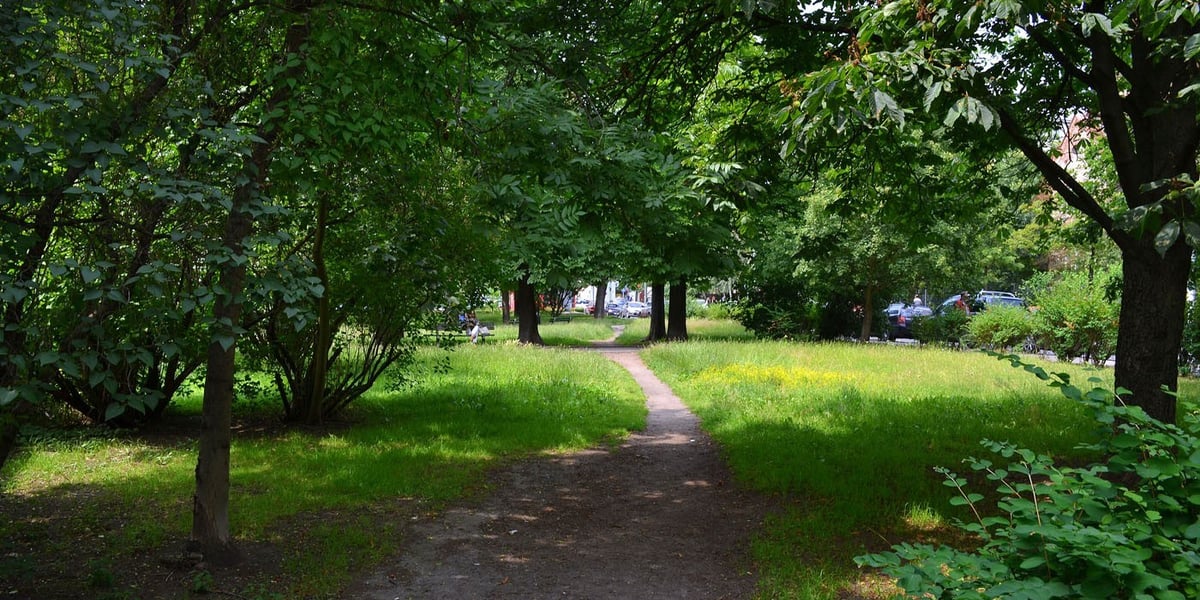 Park kieszonkowy we Wrocławiu.