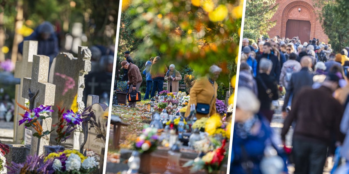 Kobiety i mężczyźni na wrocławskich nekropoliach 1 listopada 2024 r. 