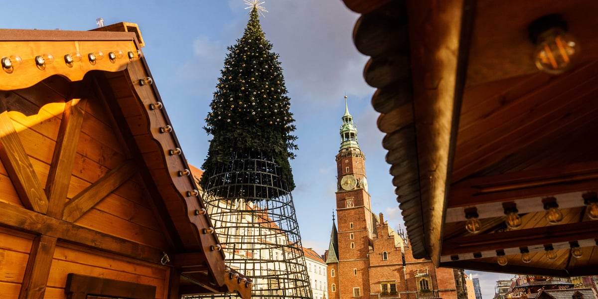 Budowa nowej choinki w Rynku, gdzie powstaje również Wrocławski Jarmark Bożonarodzeniowy 2024