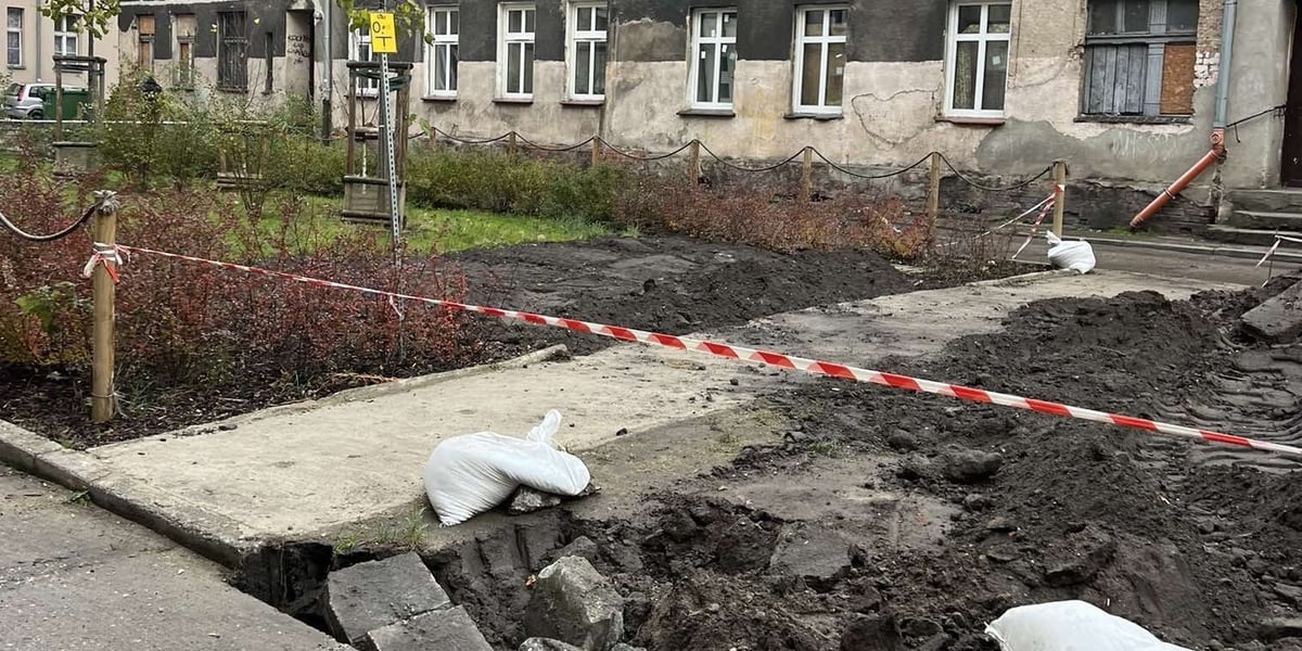 Rekultywacja skwerów, placyków i terenów zielonych w centrum Wrocławia. 