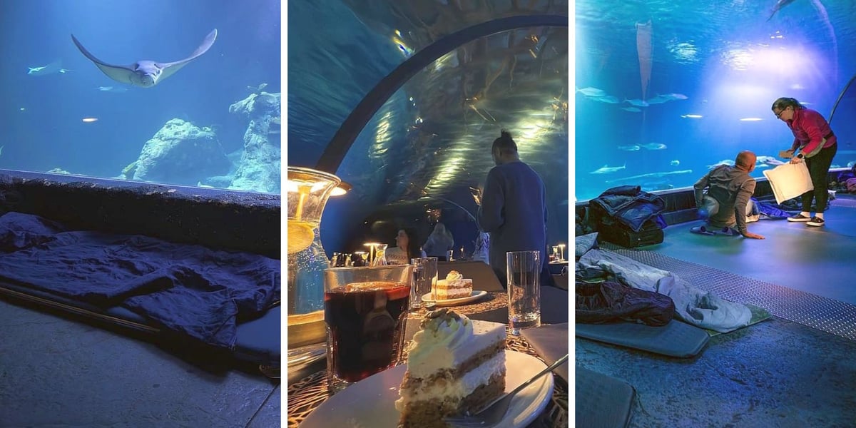 Nocowanie w Afrykarium w zoo. Zestawienie 3 zdjęć. Z lewej śpiwory rozłożone na podłodze w Kanale Mozambickim, z prawej również śpiwór, widać płaszczkę. W środku kolacja. 