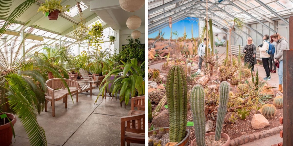 Ogród botaniczny zimą jest piękny. W szklarniach przenosimy się do innej strefy klimatycznej
