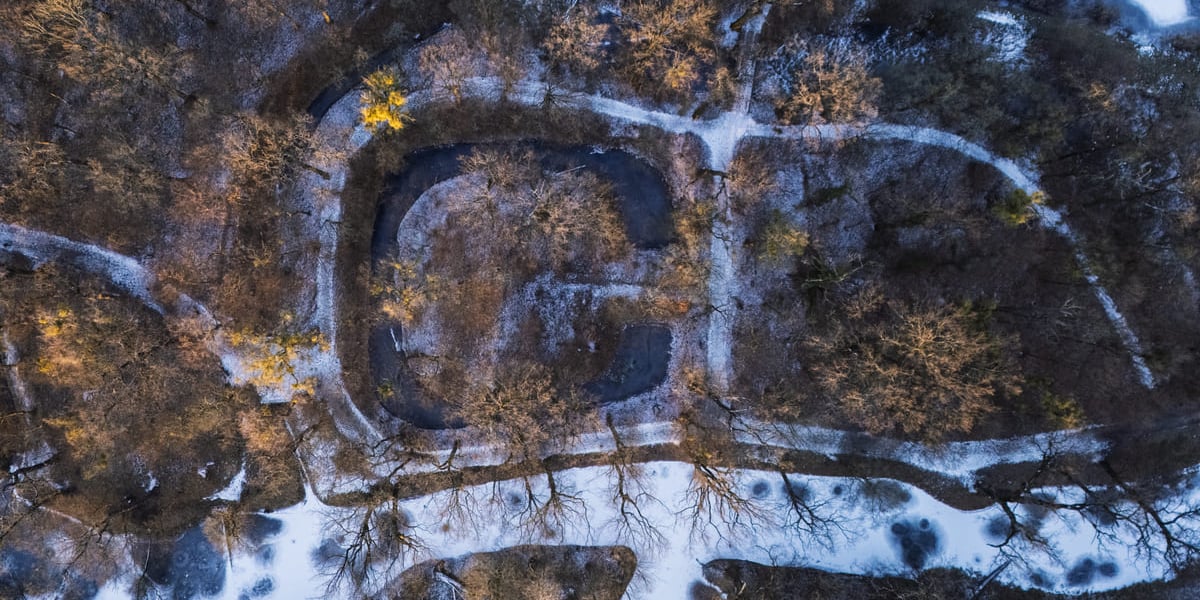 Teren dawnego dworu rodziny Dumlose w Sołtysowicach, widok z drona.