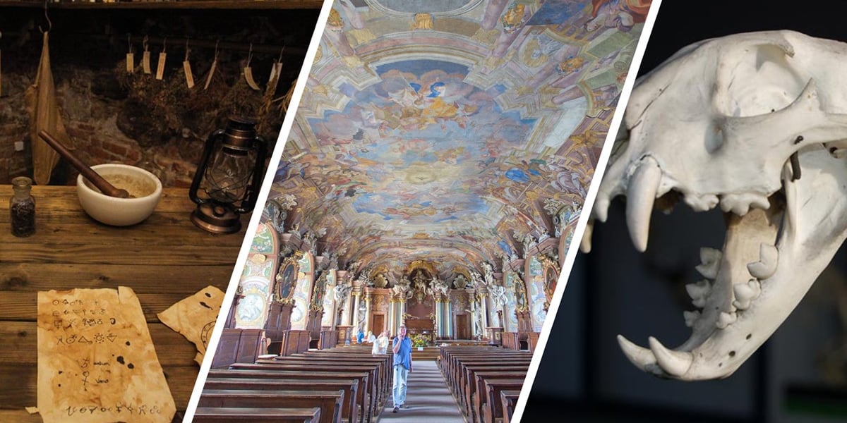 Powstał Szlak Muzeów Uczelnianych we Wrocławiu