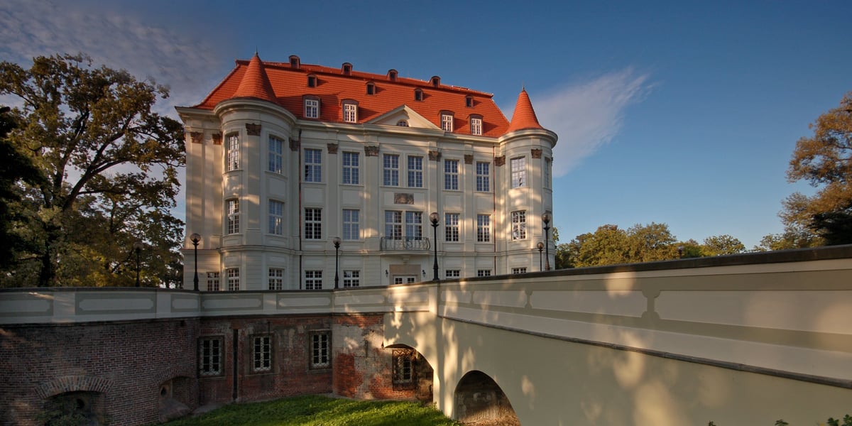 Zamek w Leśnicy