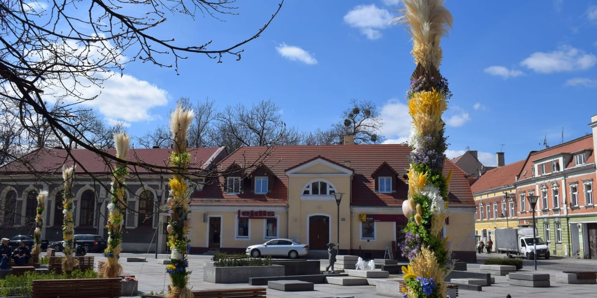 Palmy na Rynku Psiego Pola