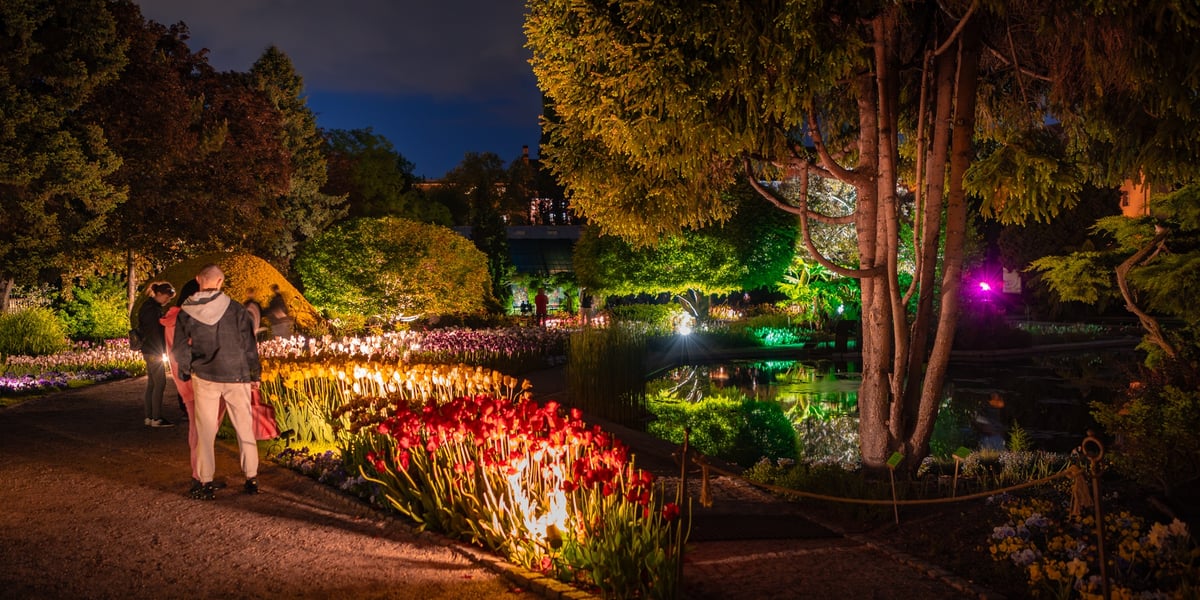Podświetlone kwiaty w Ogrodzie Botanicznym
