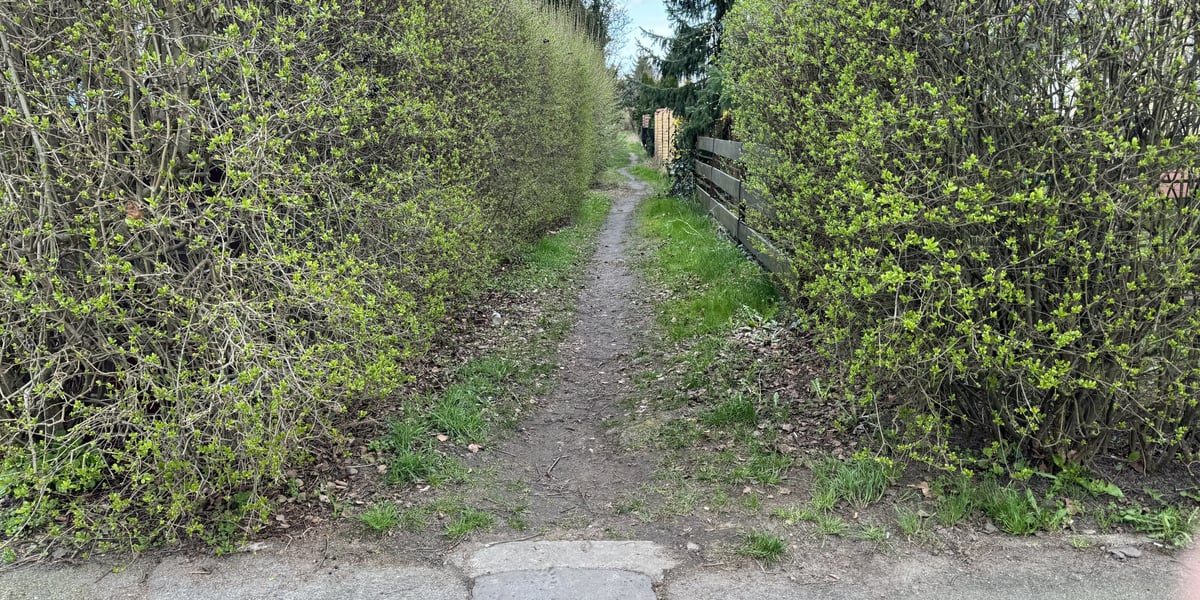 Stan istniejący