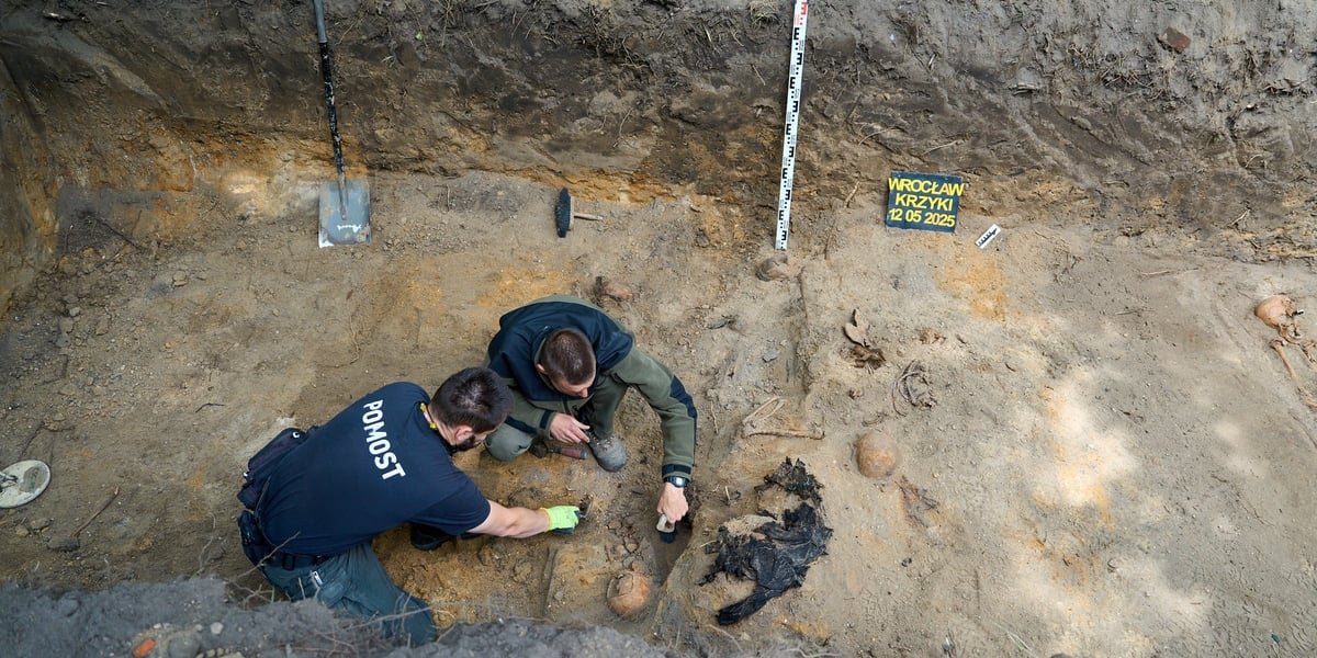 Prace archeologiczne specjalistów z Pracowni POMOST na cmentarzu przy ul. Krzyckiej