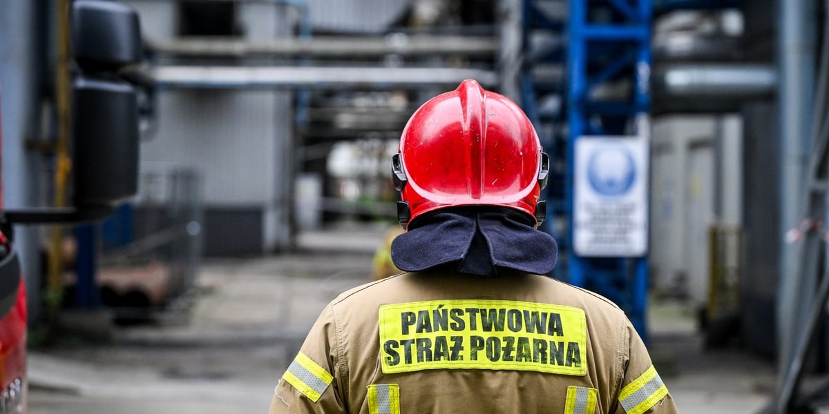 Strażak w kasku, tyłem