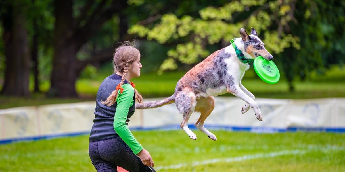 Mistrzostwa Polski Dogfrisbee 2025 w parku Południowym