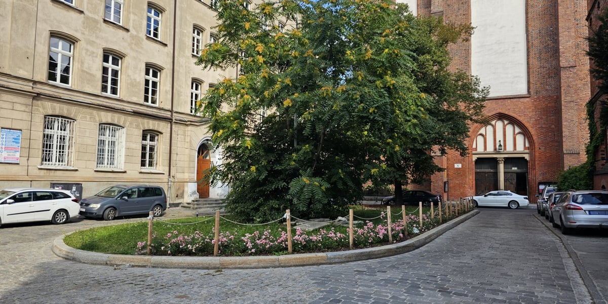 Pl. Franciszkański - skwer po rewitalizacji