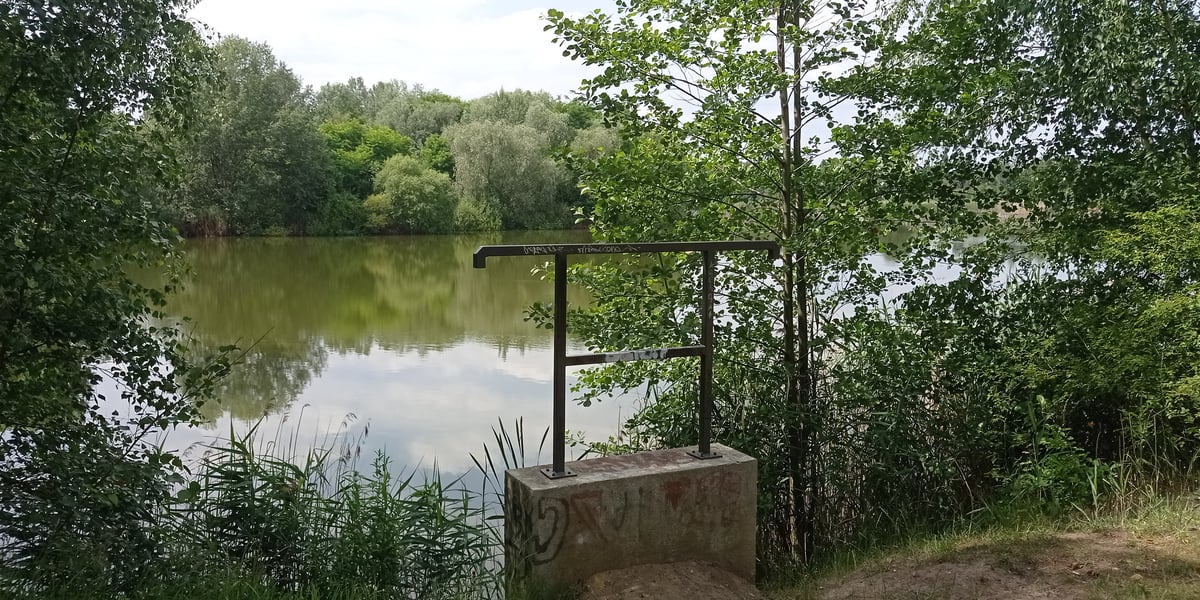 widok na staw od strony planowanej ścieżki