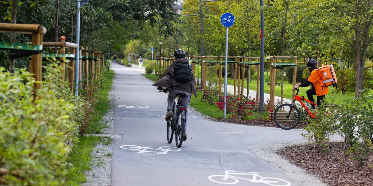 Promenada Krzycka, zrealizowana m.in. dzięki projektom z WBO