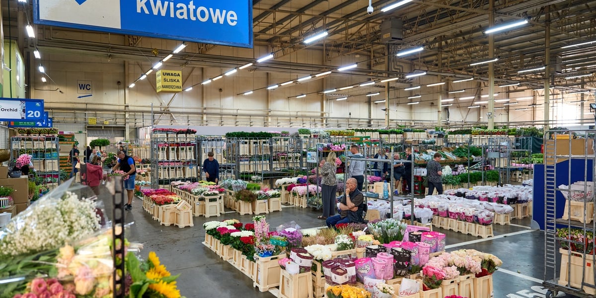 Hala wypełniona kwiatami, między pólkami przechadzają się klienci