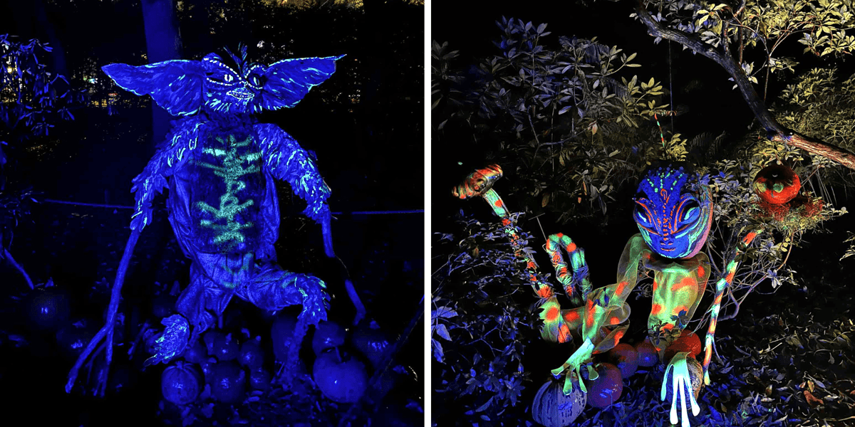Dyniowe iluminacje w Ogrodzie Botanicznym UWr