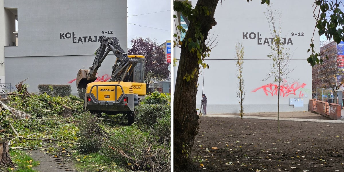 Zdjęcie dzielone na pół: po lewej koparka podczas prac na skwerze na rogu ulic Kołłątaja i Rejtana; po prawej to samo miejsce po uporządkowaniu i posadzeniu dwóch nowych klonów.