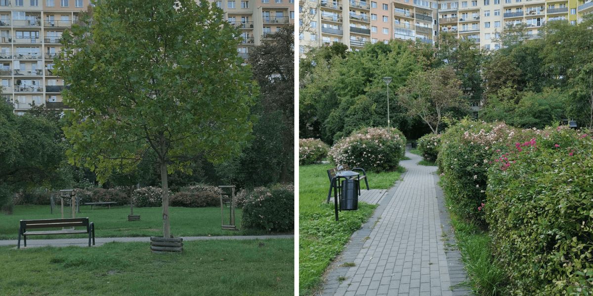 Zielone podwórko przy Krynickiej