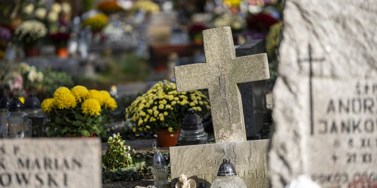 Nagrobki na cmentarzu na Sępolnie (zdjęcie ilustracyjne)