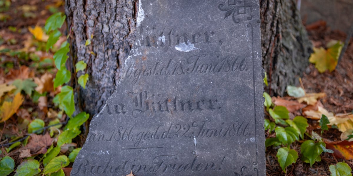 W Ogrodzie Botanicznym odnaleziono pozostałości dawnego cmentarza