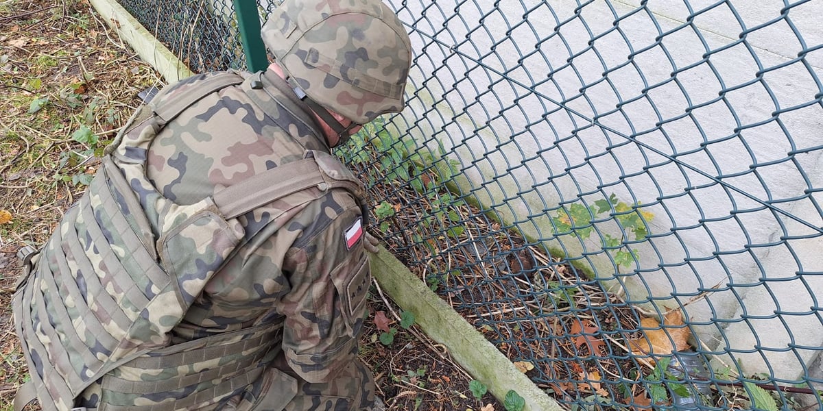 Żołnierz usuwa niewybuch na cmentarzu Osobowickim