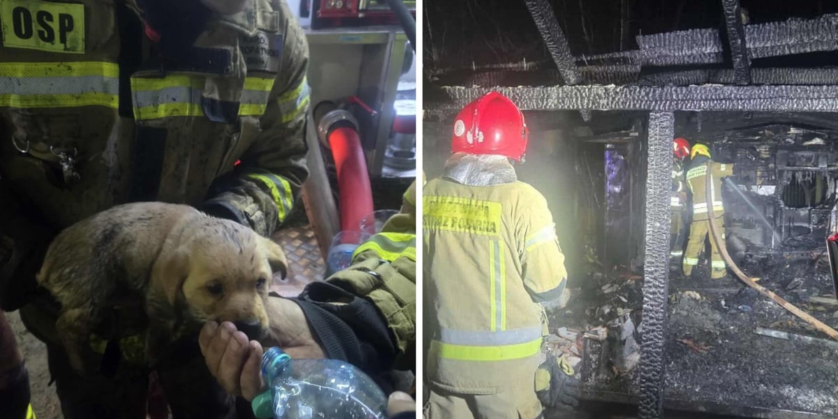 Uratowany pies i strażacy podczas akcji