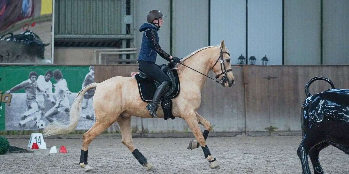 Na Partynicach rozgrywano Mistrzostwa Polski w Working Equitation.