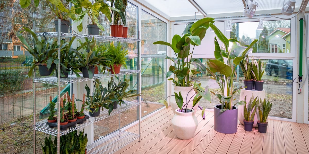 Nowa szklarnia z roślinami