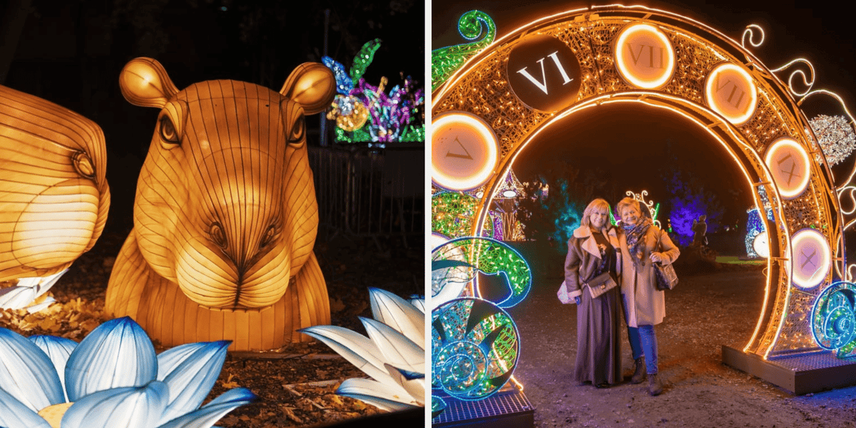 Zestawienie dwóch zdjęć: z lewej podświetlona figura kapibary w Garden of Lights "Dzika Ameryka" we Wrocławiu, obok Lumina Park i dwie zwiedzające kobiety