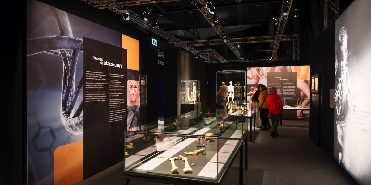 Wystawa Body Worlds we Wrocławiu - otwarcie (preview)