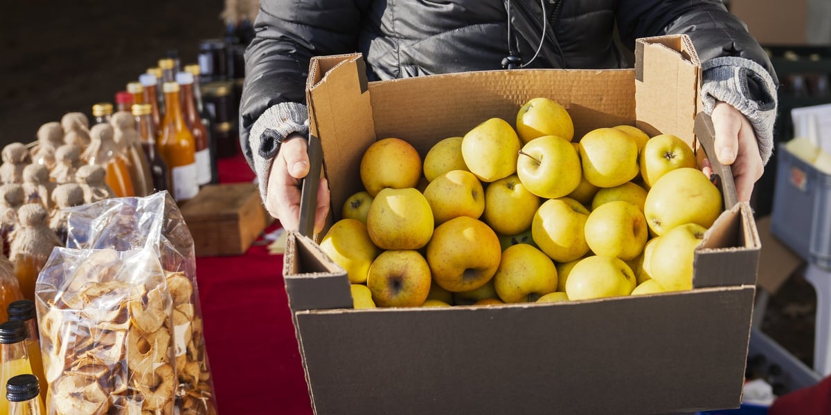 Jabłka jednego ze sprzedawców na dzisiejszym Dolnośląskim Targu Rolnym