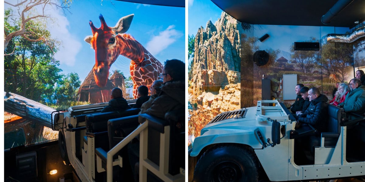 Zdjęcie podzielone na pół: z lewej strony widzowie przed ekranem, na którym widać głowę żyrafy; po prawej - ludzie siedzący w terenowym aucie przed ekranem - Safari Ride we wrocławskim zoo.