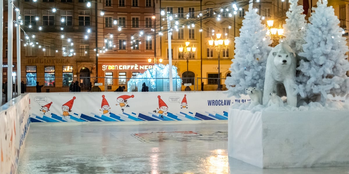 Lodowisko w Rynku nocą. Na zdjęciu widać taflę lodowiska i figurę niedźwiedzia polarnego